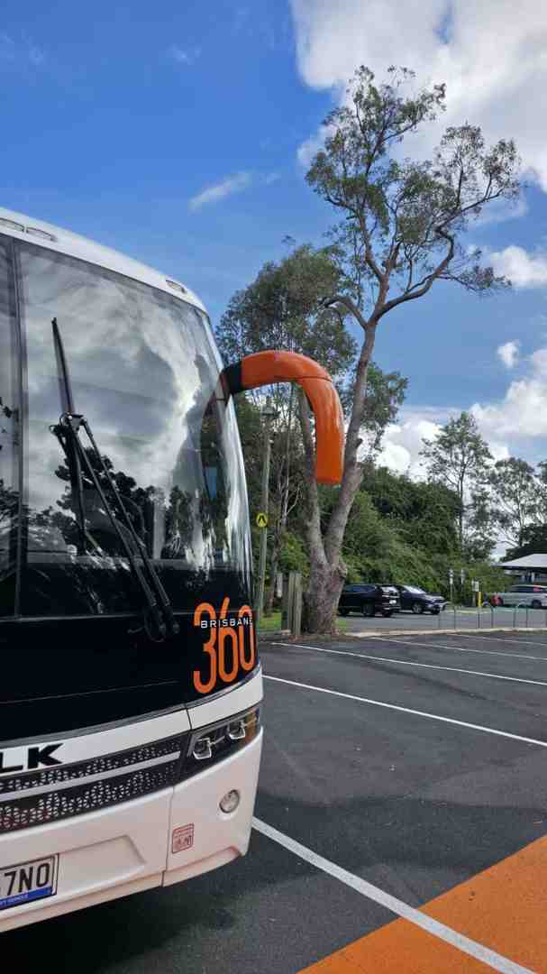 corporate bus for staff transport
